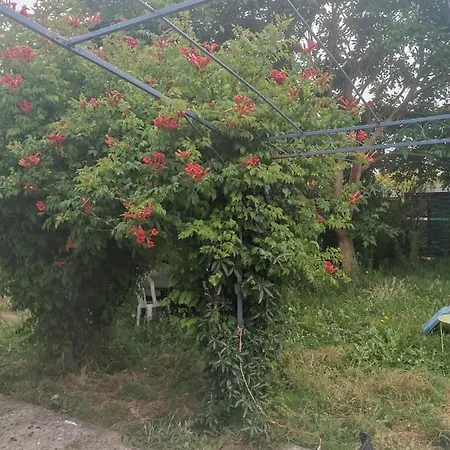 Bella Casa de Férias